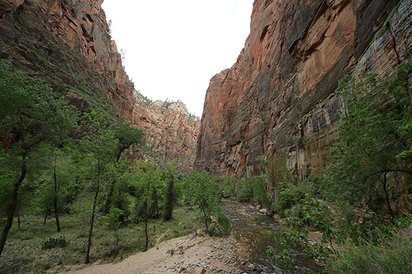 Rock cliffs in Zion National Park