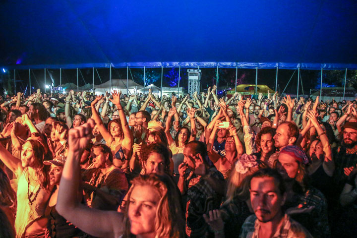 Island Vibe All Stars ft Kooii at Irie Top, Island Vibe Festival 2019, Stradbroke Island