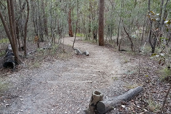 Walking up Mount Gravatt