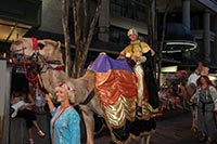 Myer Christmas Parade and Pantomime