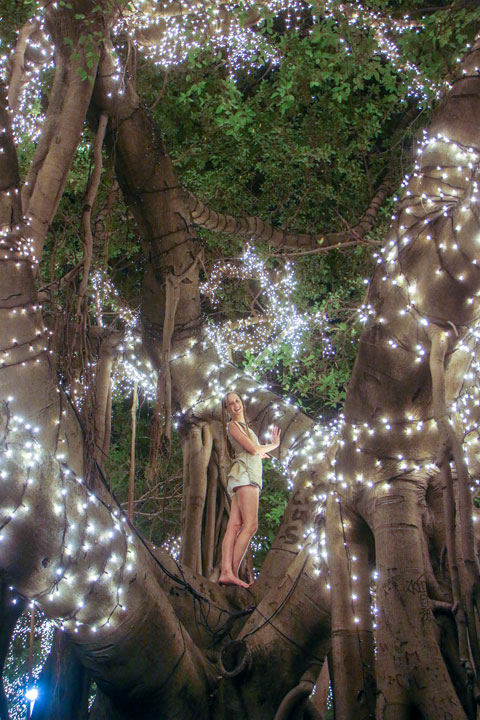 Bronwen in a lit-up tree at QUT Gardens Point