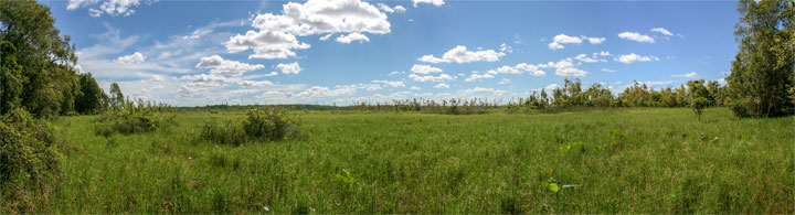 Fogg Dam Conservation Reserve, Northern Territory