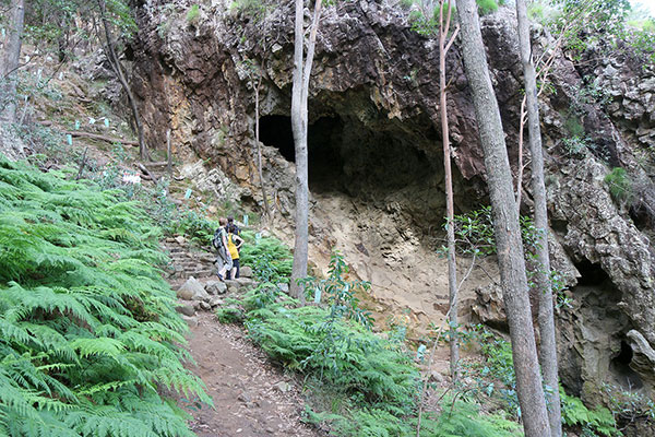 The cave on the way up Mount Ngungun