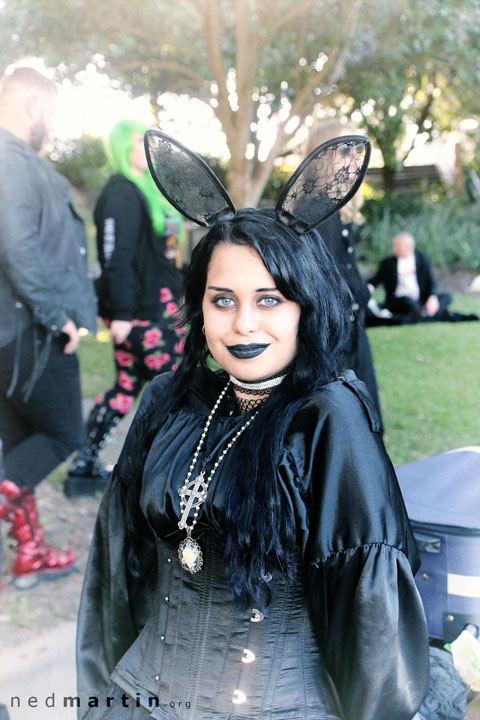 The Brisbane Gothic and Alternative Picnic