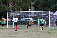 New Farm United v Logan