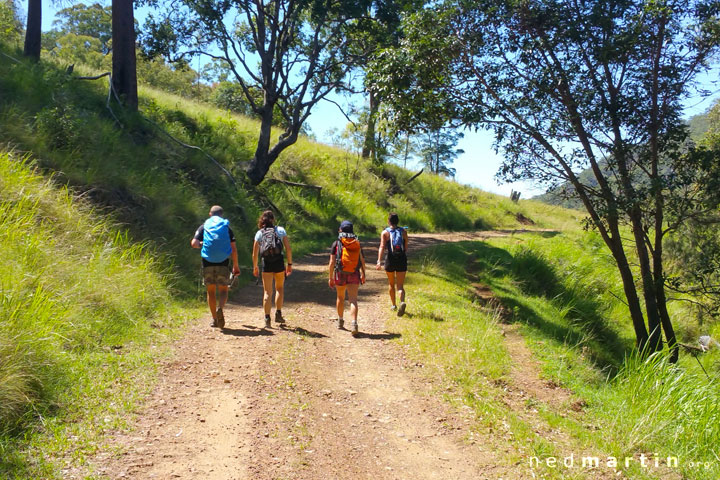 Mt May Bushwalk