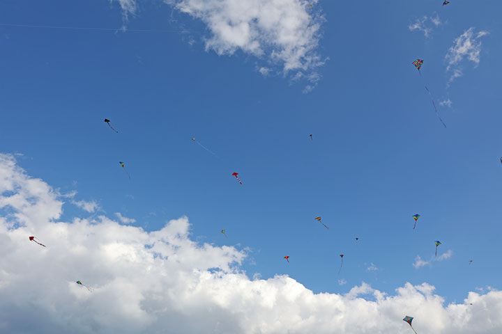 74th Independence Day of India and Gold Coast Kite Festival, HOTA, Gold Coast