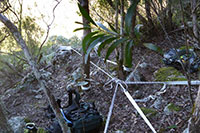 Ropes set up for abseiling, Secret Cave, Flinder’s Peak