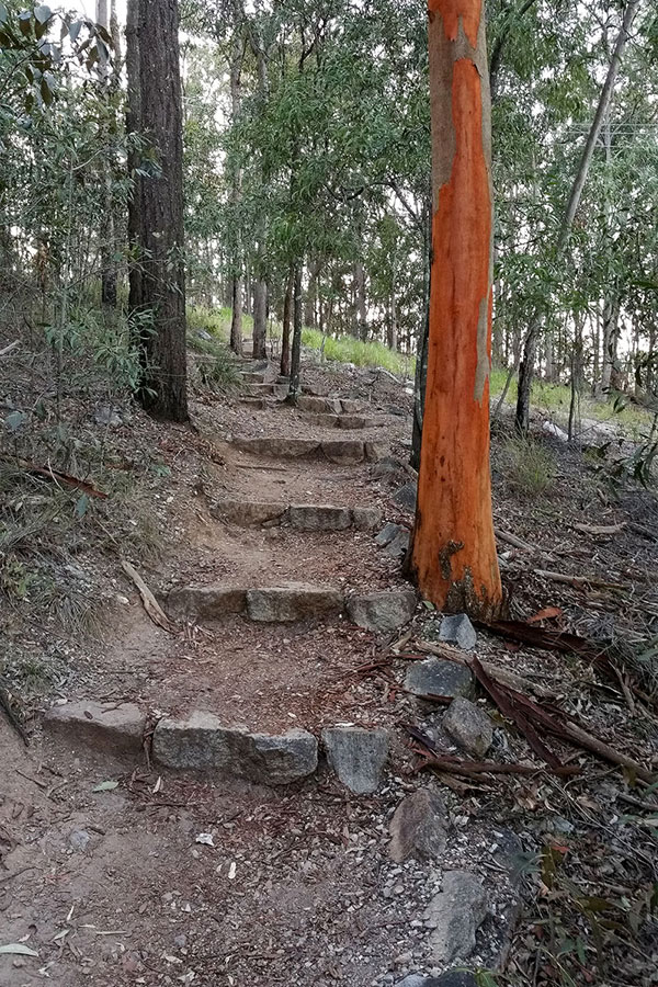 Walking up Mount Gravatt