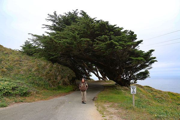 Bronwen on the way to Point Reyes Lighthouse