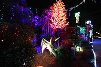 Everton Hills Christmas Lights