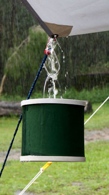 Water collecting into a bucket, Mount Tamborine