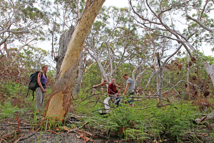 Bronwen, Maz, Chris, Moreton Island