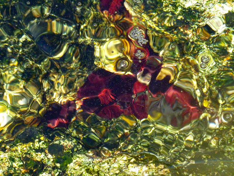 An artistic underwater photograph