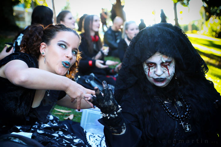 The Brisbane Gothic and Alternative Picnic