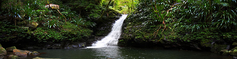 Coomera Creek