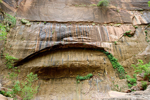 Rock feature in Zion National Park