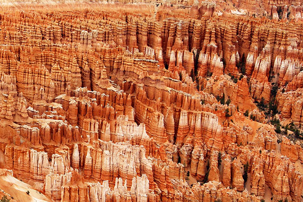 Thousands and thousands of hoodoos