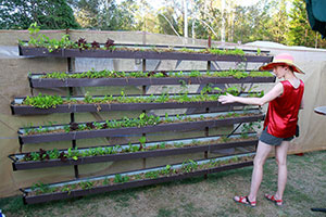 Bronwen looking at some hydroponics in Bill’s Bar