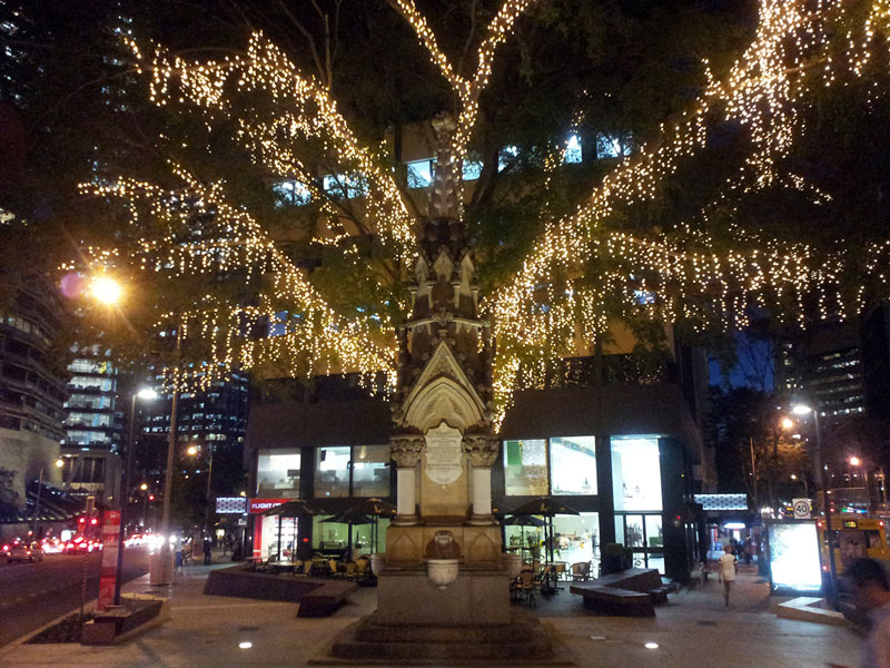 Lots of lights on a tree in the city