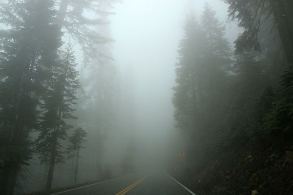 Driving through fog in Yosemite