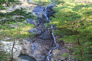 Kondalilla Falls