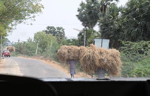 On the way to Kallanai Dam