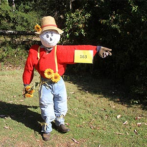 Tamborine Mountain Scarecrow Festival