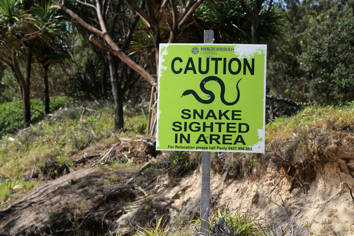 Caution: Snakes — Adder Rock