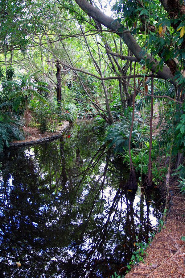 Mount Coot-Tha Botanic Gardens