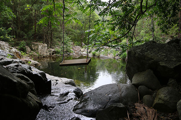 A swing on Cedar Creek