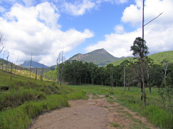 Bushwalk up Mt Barney  via South (Peasant's) Ridge