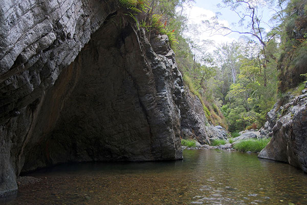 The creek flowing through the gorge