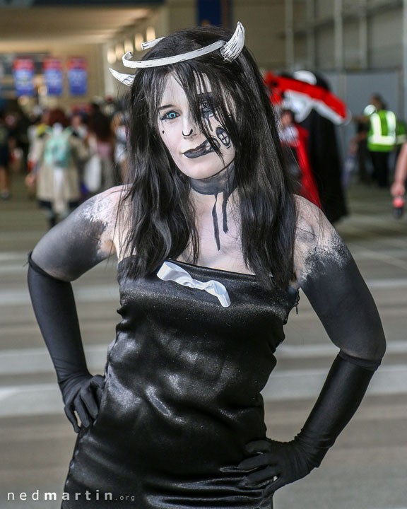 Brisbane Supanova 2018