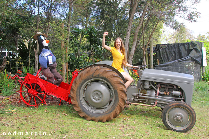 Bronwen at the Tamborine Mountain Scarecrow Festival