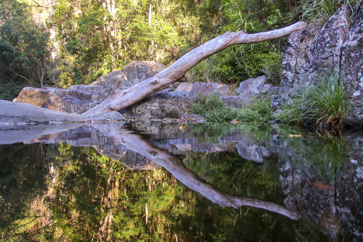 Cedar Creek, Brisbane