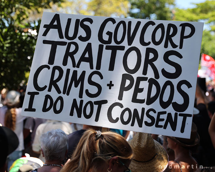 Freedom Rally, Brisbane Botanic Gardens