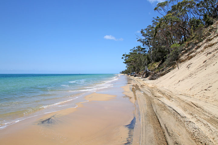 Moreton Island