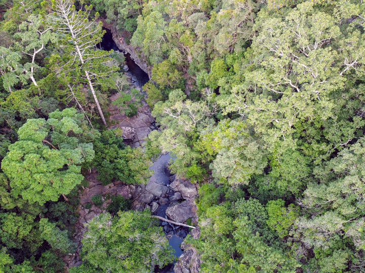 Cedar Creek, Brisbane