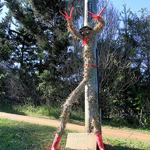 Tamborine Mountain Scarecrow Festival