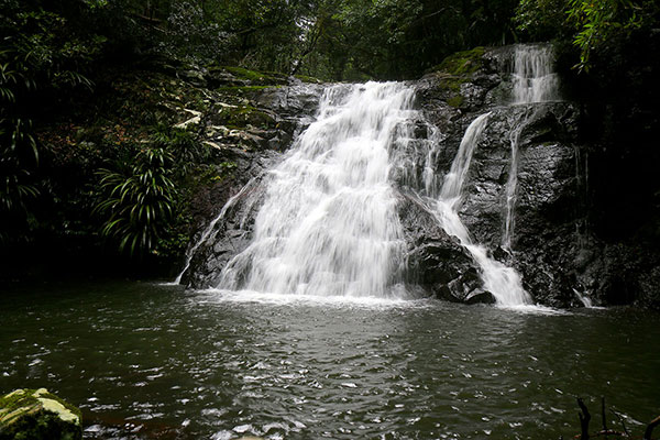 A waterfall along the way