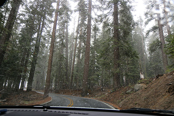 Driving through a light snow