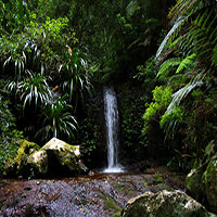 Waterfall, Coomera Creek