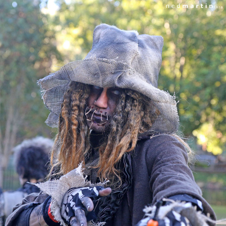 The Brisbane Gothic and Alternative Picnic