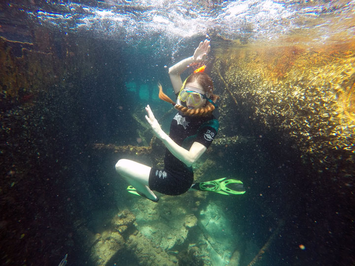 Snorkelling at Tangalooma Wrecks on Moreton Island