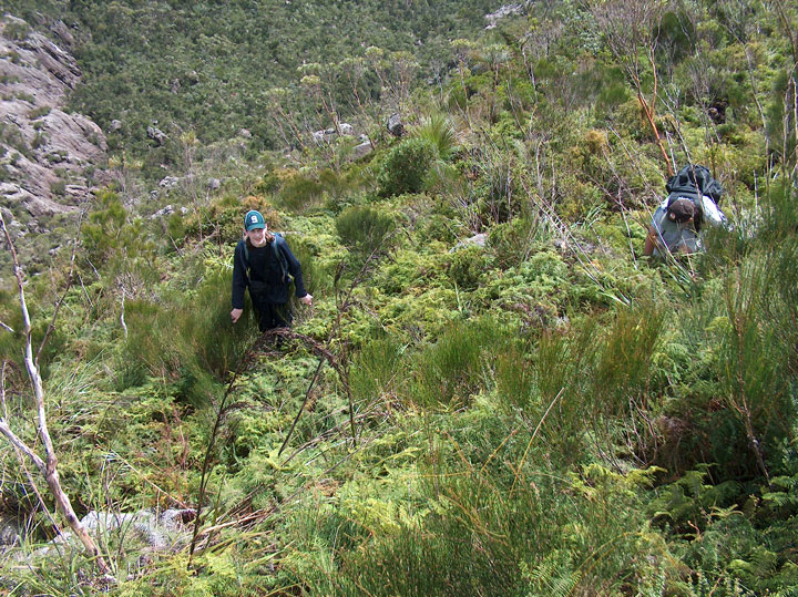 Maz, Ned, Bushwalk up Mt Barney  via South (Peasant's) Ridge