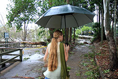 Bronwen walking along the river in Brisbane, & some fallen trees