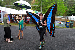 Festival butterflies