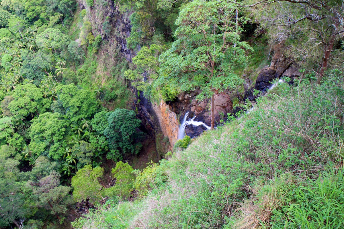 The top of Mapleton Falls, seen from the lookout