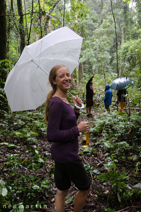 Bronwen, Tooloom National Park, NSW